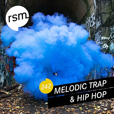 Melodic Trap & Hip Hop cover